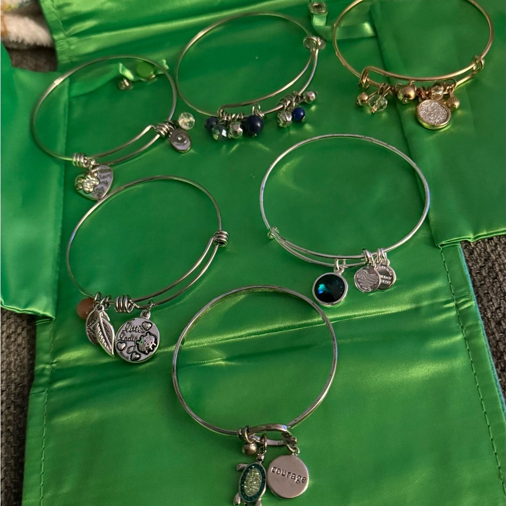 Charm Bracelets Bundle